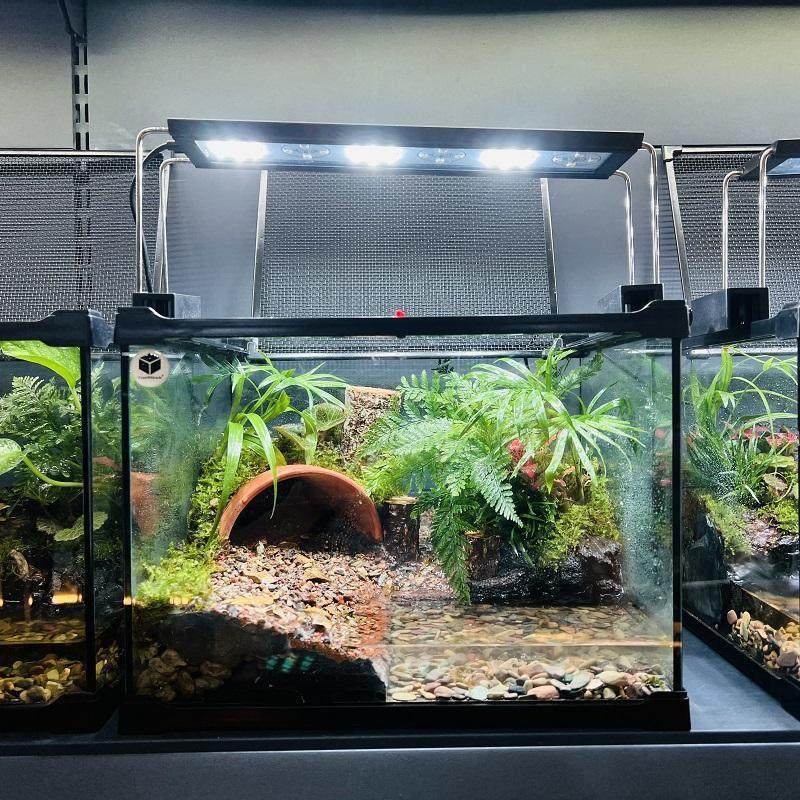 爬宠雨林缸造景生态内置过滤热带植物全自动微景观