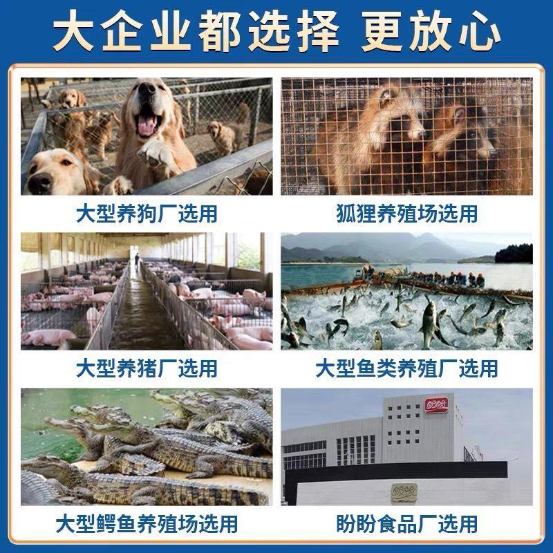大型破碎绞肉All大功率绞肉机商用整猪碎骨冻货猪骨牛骨粉碎机