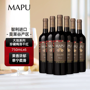 大地MAPU珍藏梅洛干红葡萄酒智利原瓶进口红酒750ml六支整箱