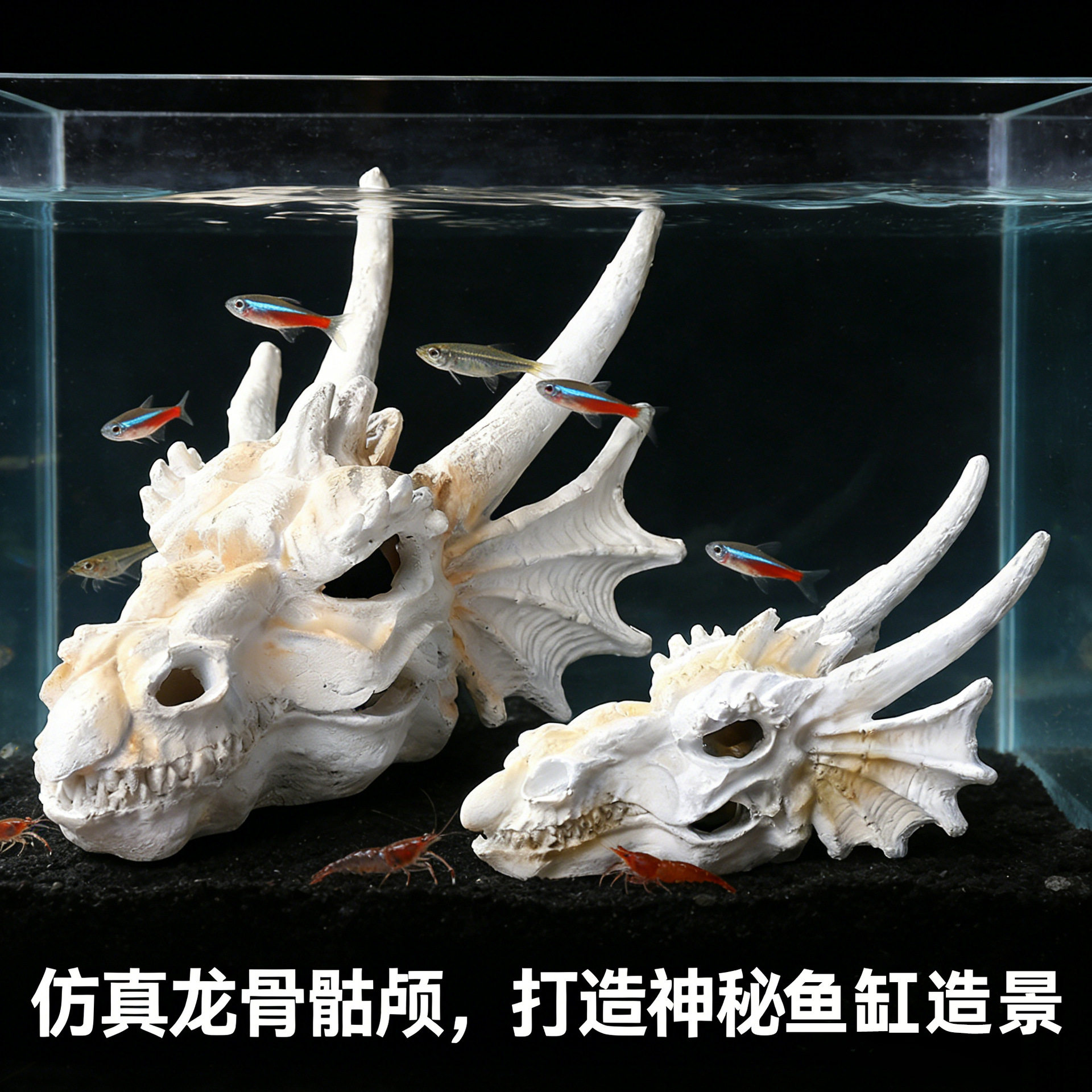 鱼缸仿真龙骨骷颅造景树脂摆件
