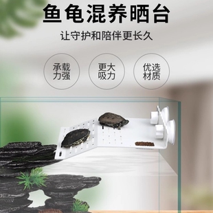 乌龟缸晒台爬台家用龟缸造景休息平台龟爬坡深水浮台生态小型鱼缸