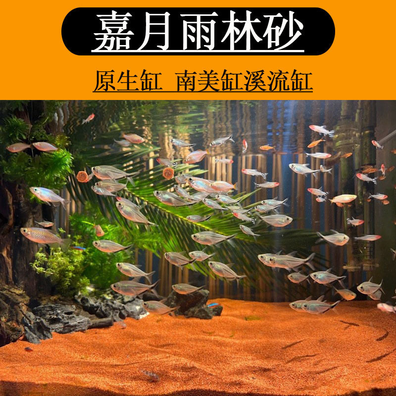 免洗精雨林沙鱼缸造景装饰底砂水草龟缸溪流石南美缸水族箱用