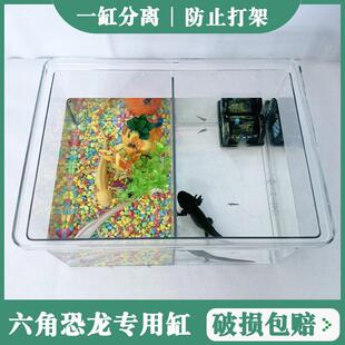 塑料鱼缸带隔板分开 六角恐龙鱼鱼缸造景蝾螈饲养缸客厅小型生态
