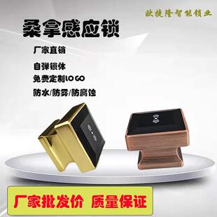 桑拿锁洗浴柜门锁更衣柜智能电子感应锁浴室健身房储物柜IC磁卡锁