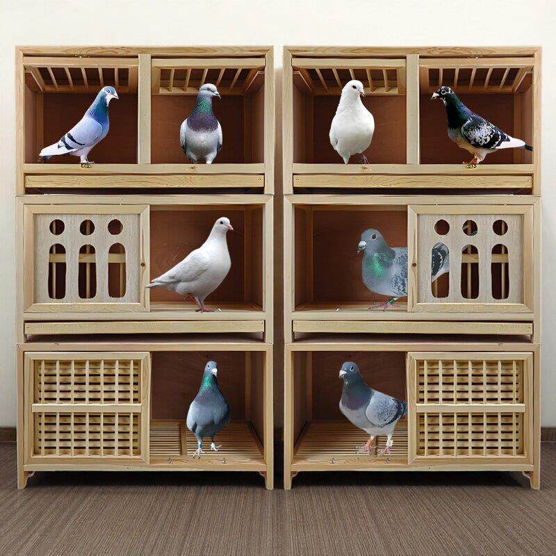 鸽子巢箱繁殖配对实木质专用供赛鸽种鸽新款笼子信鸽配对笼巢箱