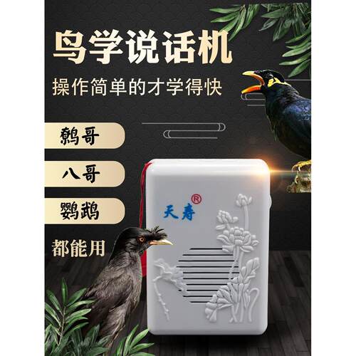 小鸟学习说话机器覆读播放器鹦鹉Myna Myna学习说话和学习语言训