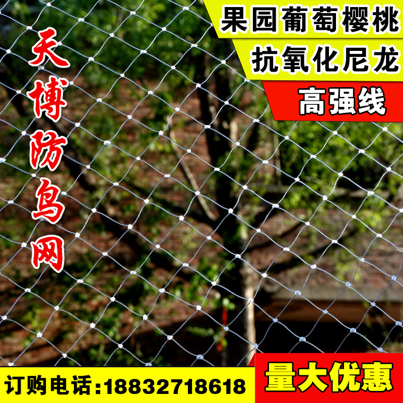 热销果园防鸟网葡萄大棚保护网家用果树网防鸟用网鱼塘养殖尼龙网