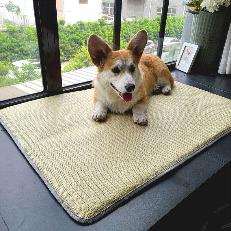 热销狗狗凉席柯基狗垫子睡觉用大型犬金毛睡垫防撕咬猫垫子不粘毛