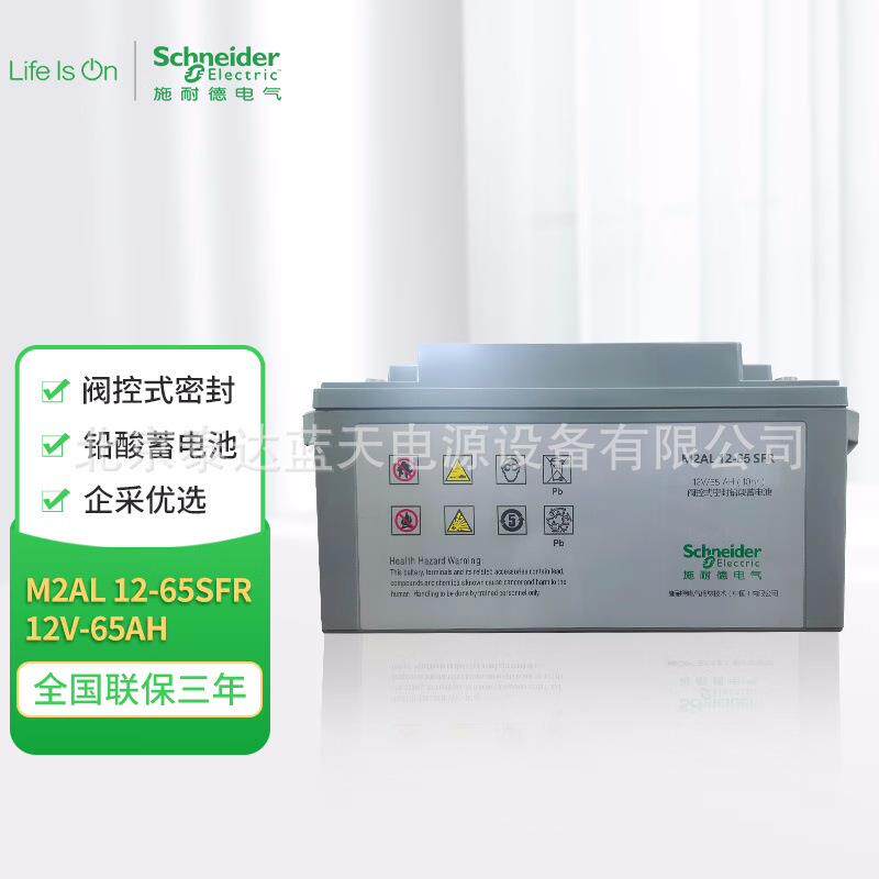 梅兰日兰M2AL12-38SFR铅酸蓄电池12V38AH船舶照明轨道交通12v65ah