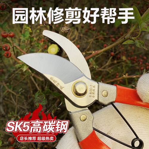 热销园林修枝剪刀修剪树枝果树剪刀园艺修花工具果枝剪蔬果修粗枝