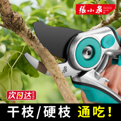 张小泉园艺剪枝剪刀果树树枝专用