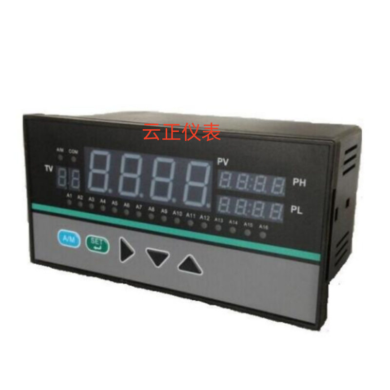 TDS-0800智能多回路巡检仪