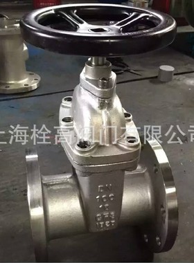 304不锈钢软密封闸阀 RVHX/Z45X-16P不锈钢弹性座封闸阀DN40-D200