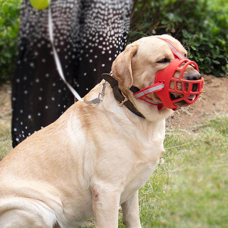极速狗狗嘴套防咬乱吃拉布拉多金毛罗威纳猛犬大中小型宠物用品口
