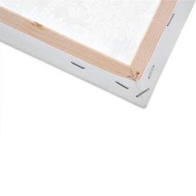 Canvas Pink Peony Flowers DIY Painting By Numbers Modern Wal