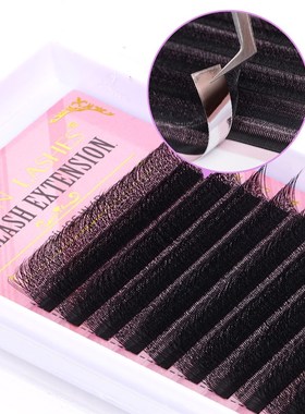 2023 New 3D/4D/5D W Shape Lashes and YY Lashes Premade Volum