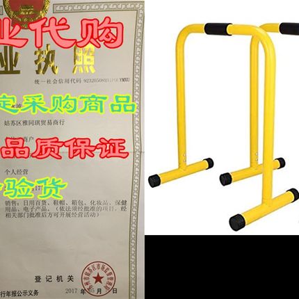 ReachPT Dip Bar, Ab Exercise Workout, Pull-Up Bar, Exerci