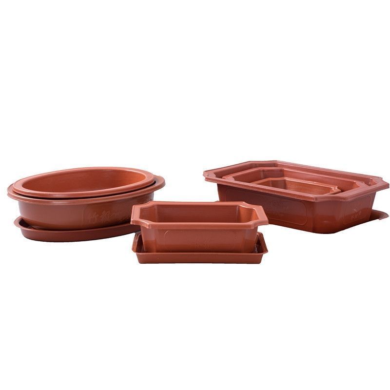 大口浅底花盆浅口宽口大多肉大号种肉肉的花盆矮扁塑料低托盘超大