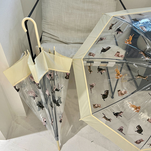 极速Rosy全自动高颜值透明雨伞日系小清新双人大号折叠弯钩长柄伞