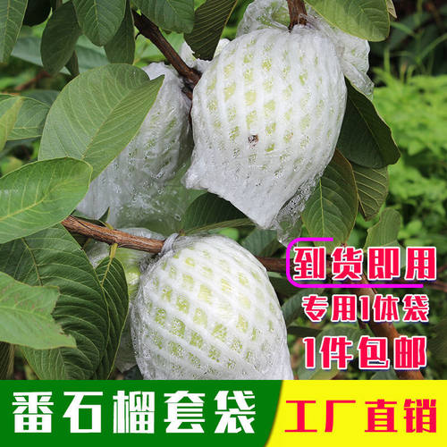 新品番石榴网套袋芭乐防虫网套袋专用一体泡沫包装袋石榴袋水果