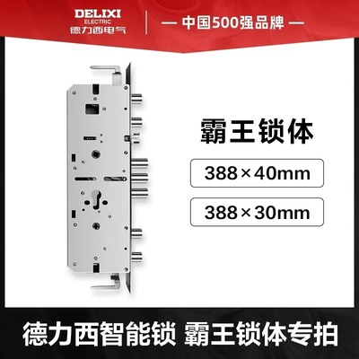 【选配】德力西智能锁定制尺寸锁体，霸王锁体/特殊锁体专拍