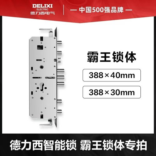 【选配】德力西智能锁定制尺寸锁体，霸王锁体/特殊锁体专拍