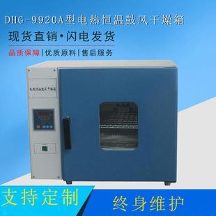 厂家直销实验室DHG 9920A系列鼓风干燥箱电热恒温鼓风干燥箱