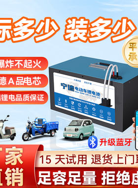 电动车锂电池72v60v48v外卖专用电池蓝牙二三四轮三元锂电瓶