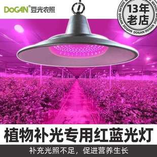 50Ｗ红蓝双色光植物灯大棚葡萄花卉瓜果光合作用防水铝壳LED罩灯