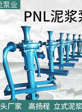 泥浆泵立式耐磨PNL泥浆泵铸铁吸沙泵污泥河道抽泥泵无堵塞排污泵