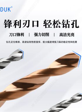 4柄钨钢钻头合金钻咀3.31 3.32 3.33 3.34 3.36 3.37 3.38 3.39