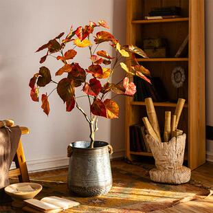 掬涵仿真幸福榕树秋色大型绿植盆景客厅橱窗盆栽装饰摆件乔迁