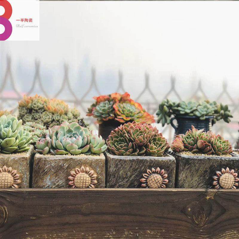 新款多肉花盆麦饭石大口径青铜器系粗陶透气个性群生复古手工制作,鲜花速递/花卉仿真/绿植园艺,花盆,淘宝优惠券,粉丝福利购,淘宝优惠卷