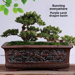 紫色粘土花盆古典特大矩形马槽圆形粘土榕树芦笋欢迎松树海棠室内