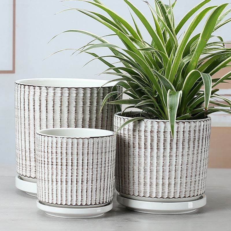 花盆丨绿萝专用o2021新款网红兰花花盘陶瓷花瓶种花盆极简带托盘