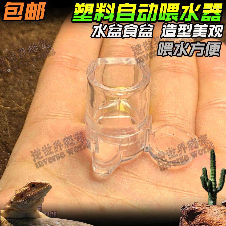 极速爬虫水盆食盆宠物幼体蝎子蜘蛛蜈蚣自动喂水器带食盆一体方便