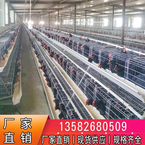 优质蛋鸡笼养殖场专用笼鸡笼子阶梯式蛋鸡笼养鸡设备养殖鸡笼全套