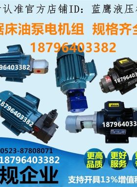 。带锯床液压油泵HGP高压齿轮泵VP变量泵YB1叶片泵CB-B6调压齿轮