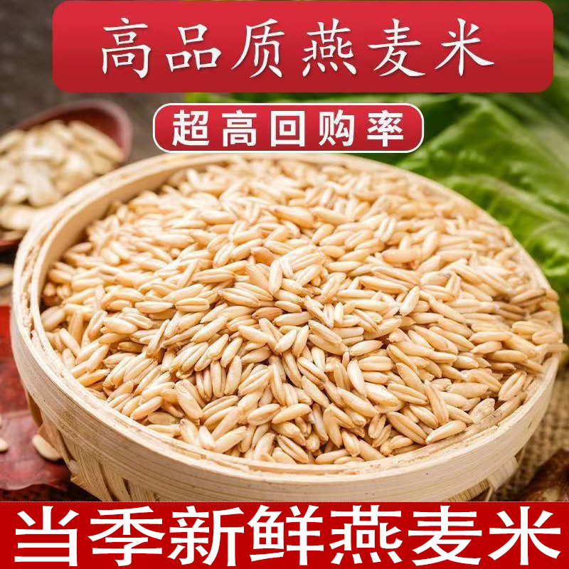 新鲜农家自产燕麦米燕麦仁饱腹抗饿颗粒饱满麦香浓郁软糯有嚼劲