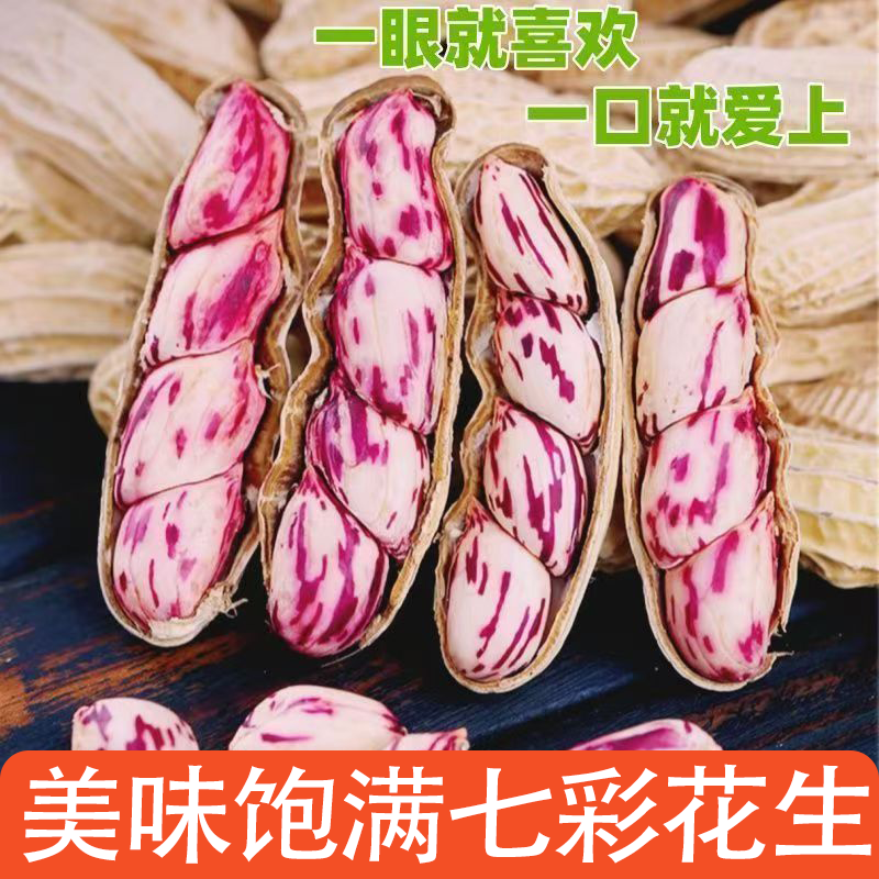 七彩花生新鲜晒干带壳花生米皮薄易剥超大果仁自然成熟粒粒饱满