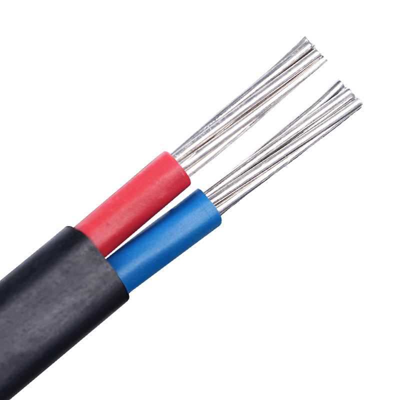 户外国标二芯电线6 10 16 25平方架空地埋铝线铝芯护套线防老化