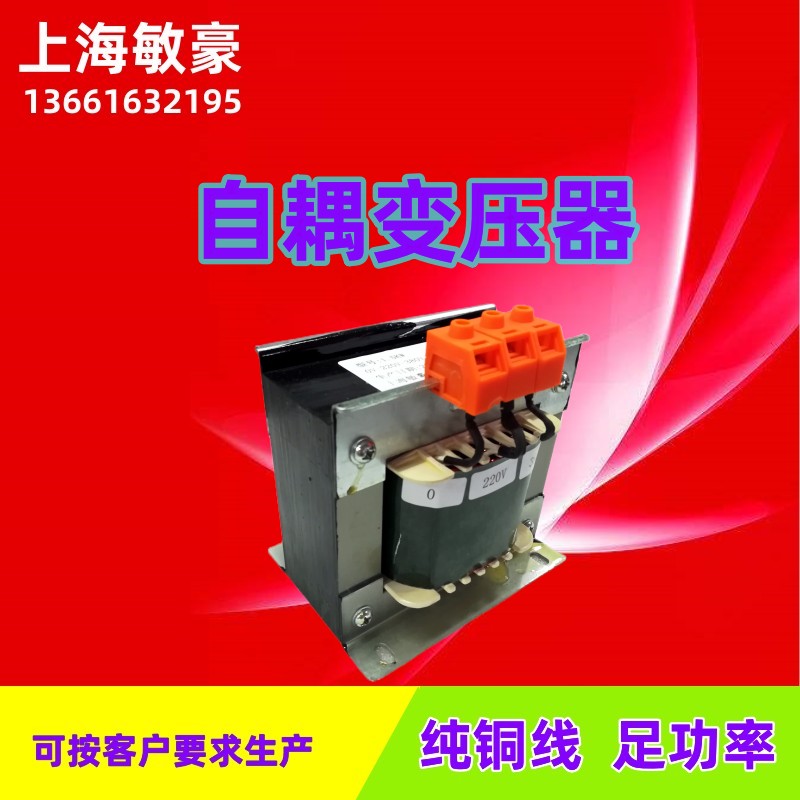 定做自耦变压器380V/220V转220V/110V100PV电压转换器进口电器纯
