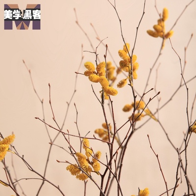 热销干枝花枯树枝干支装饰干枝装饰花干花花束干树枝插花家居摆设