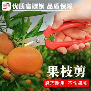 三喜树修剪树枝剪刀摘果剪锋利家用剪刀修枝花剪园艺园林专用剪刀
