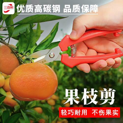 三喜树修剪树枝剪刀摘果剪锋利家用剪刀修枝花剪园艺园林专用剪刀