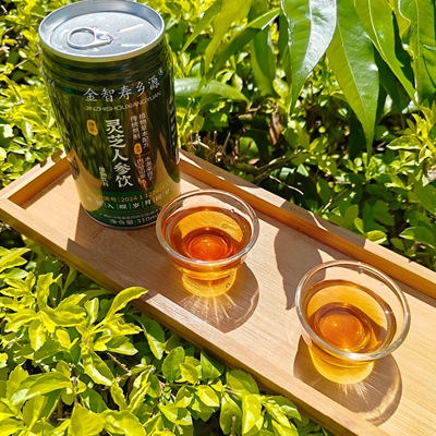 广西巴马金智寿乡源牌灵芝人参饮传统熬煮滋补养生茶饮310ml*12罐