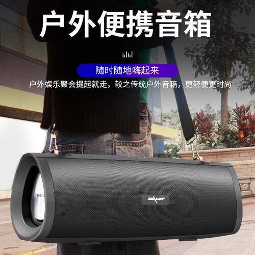 ZEALOT/狂热者 s39狂者 礼S3大9新款广场舞音响品户外便S39携式功