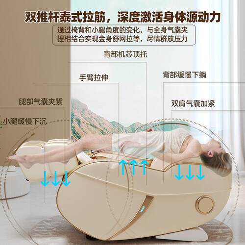德国斑马星辰新款LS三导奢轨按摩椅双推杆S全自身动615家用华太空