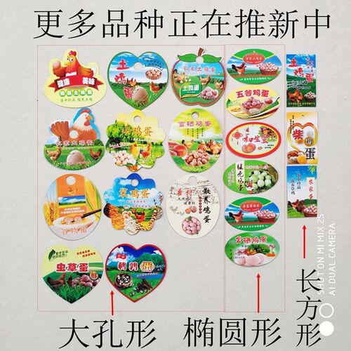 热销超市装鸡蛋塑料篮子框水果篮山楂人参果包装果篮小塑料筐包邮