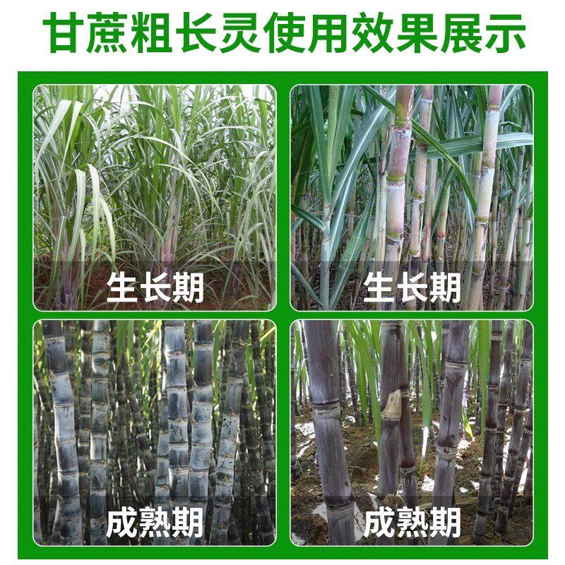 热销甘蔗拉长增甜剂膨大素增长增粗拔节抗倒920甘蔗专用肥甘蔗专